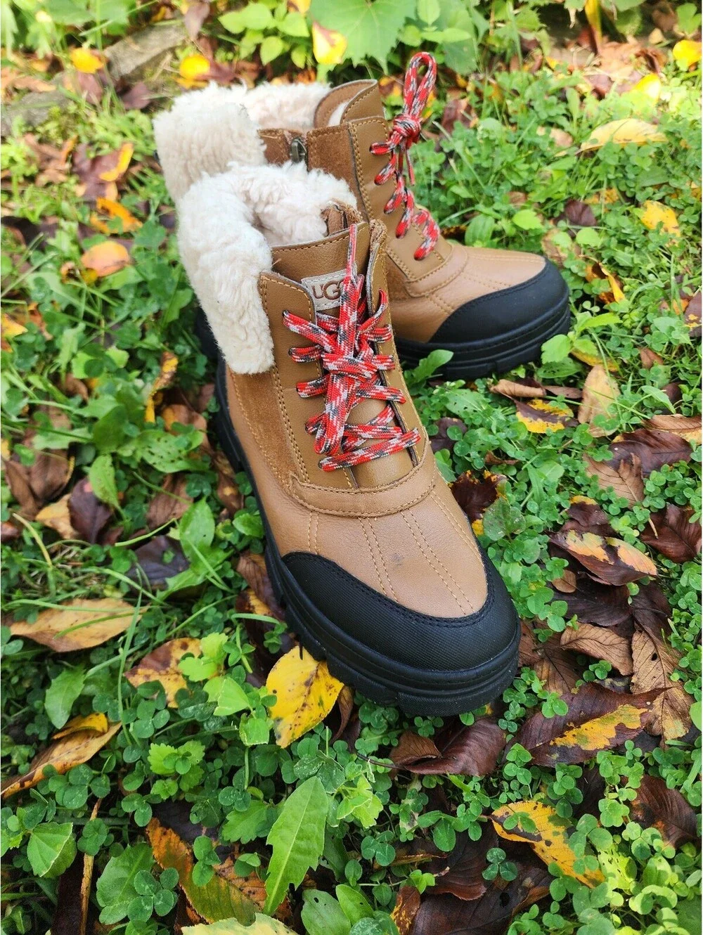 Size 6 - UGG Ashton Addie Lace-Up Ankle Boot